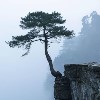 Паническая атака. Нужна помощь! Изображение к статье: Паническая атака. Нужна помощь!
